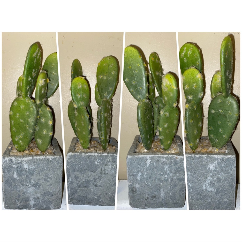 🌵decorative faux cactus 🌵